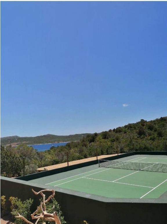 Réalisation terrain de tennis en résine synthétique Auvergne Rhône-Alpes
